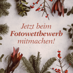 Aus Purzelbaum wird Weihnachtstraum